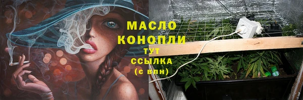 дживик Арсеньев