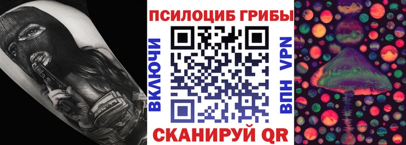 закладка  Суровикино  MEGA рабочий сайт  Псилоцибиновые грибы GOLDEN TEACHER 